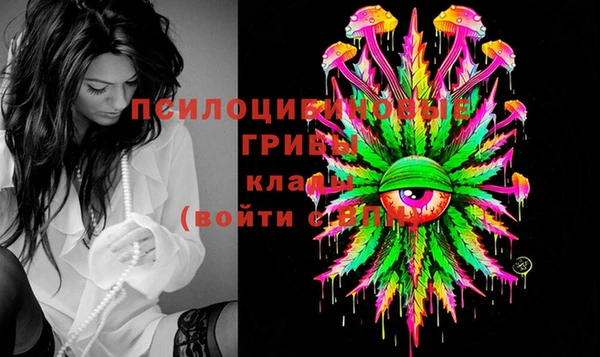 МДПВ Алзамай