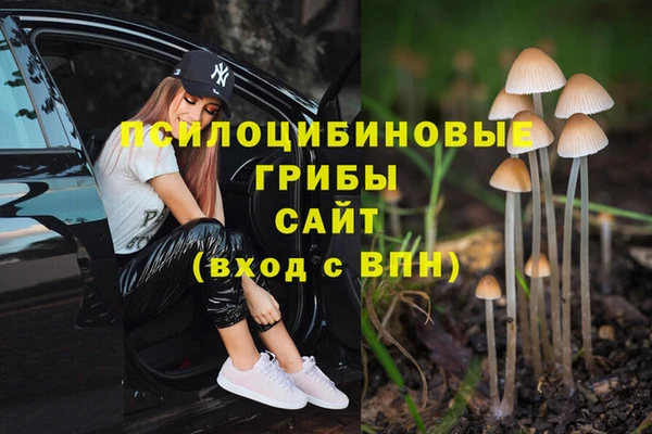 МДПВ Алзамай