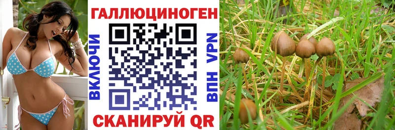 мега ТОР  как найти закладки  Юрьевец  Псилоцибиновые грибы ЛСД 
